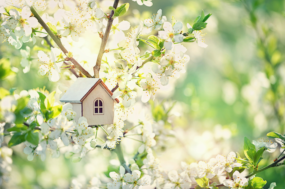 Lavori manutenzione primavera: 11 cose da controllare
