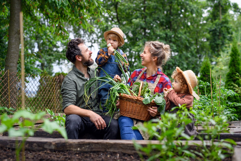 Vado a vivere in campagna: 9 motivi perché dovresti farlo