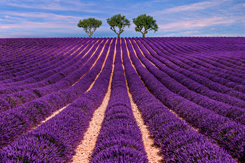sfondi-desktop-paesaggi-estivi-2.jpg