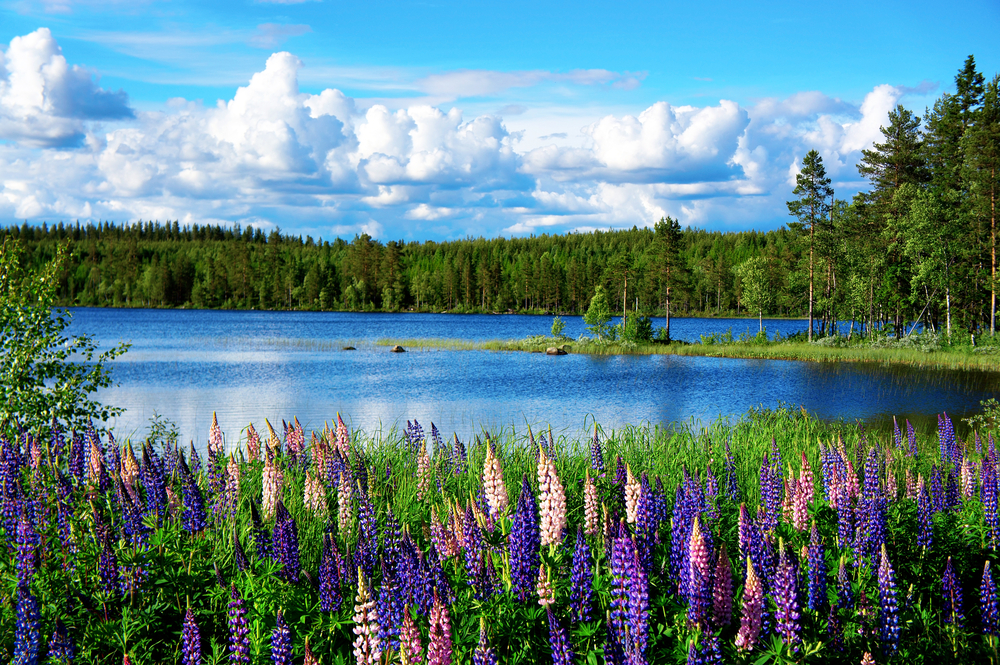 sfondi-desktop-paesaggi-estivi-6.jpg