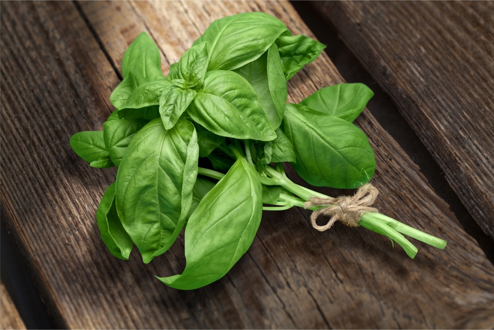 I benefici del basilico per pelle e capelli