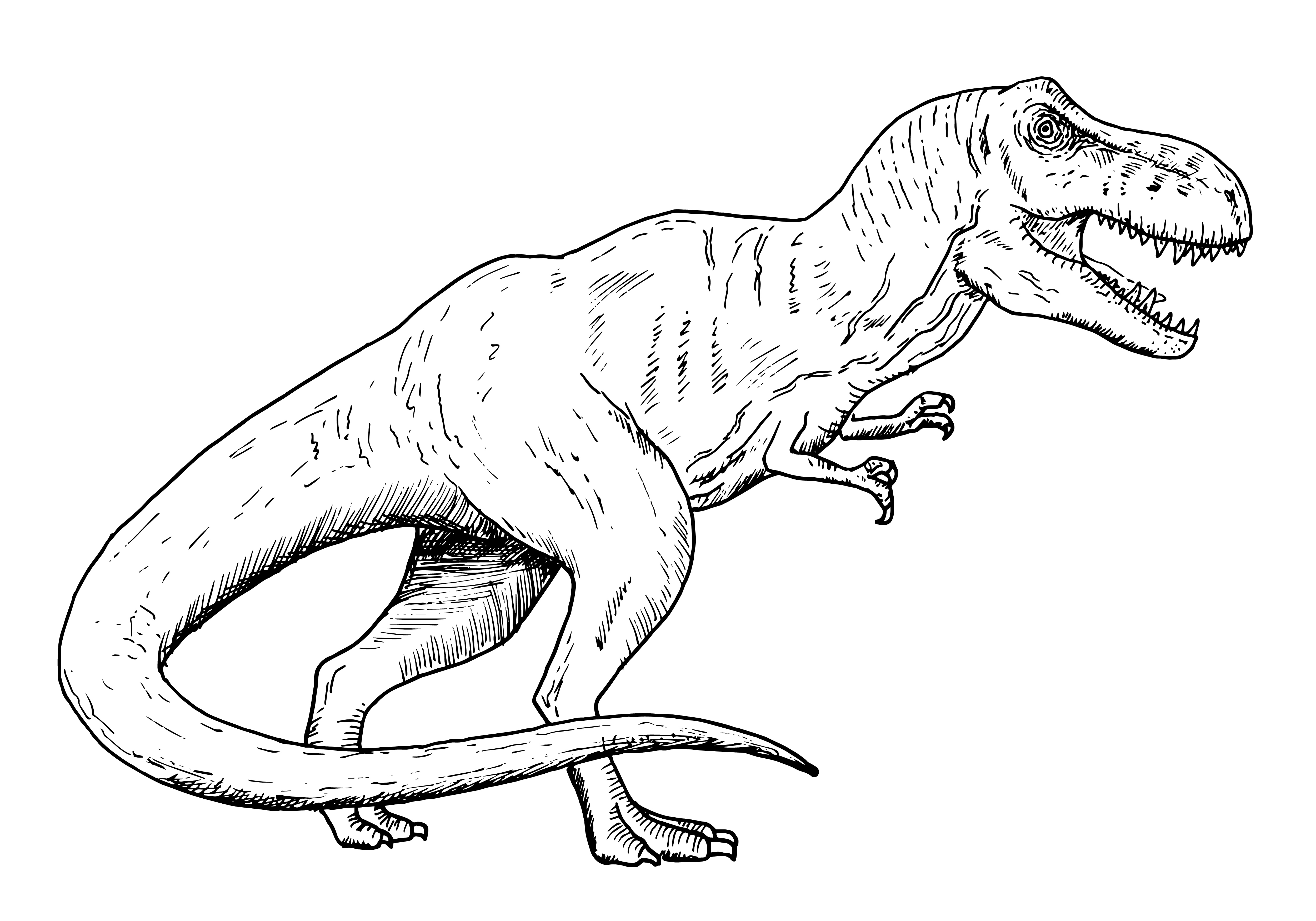 dinosauri-da-colorare-7.jpg