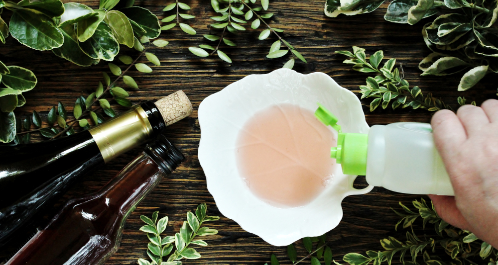 Come togliere i moscerini da casa: 6 rimedi da provare