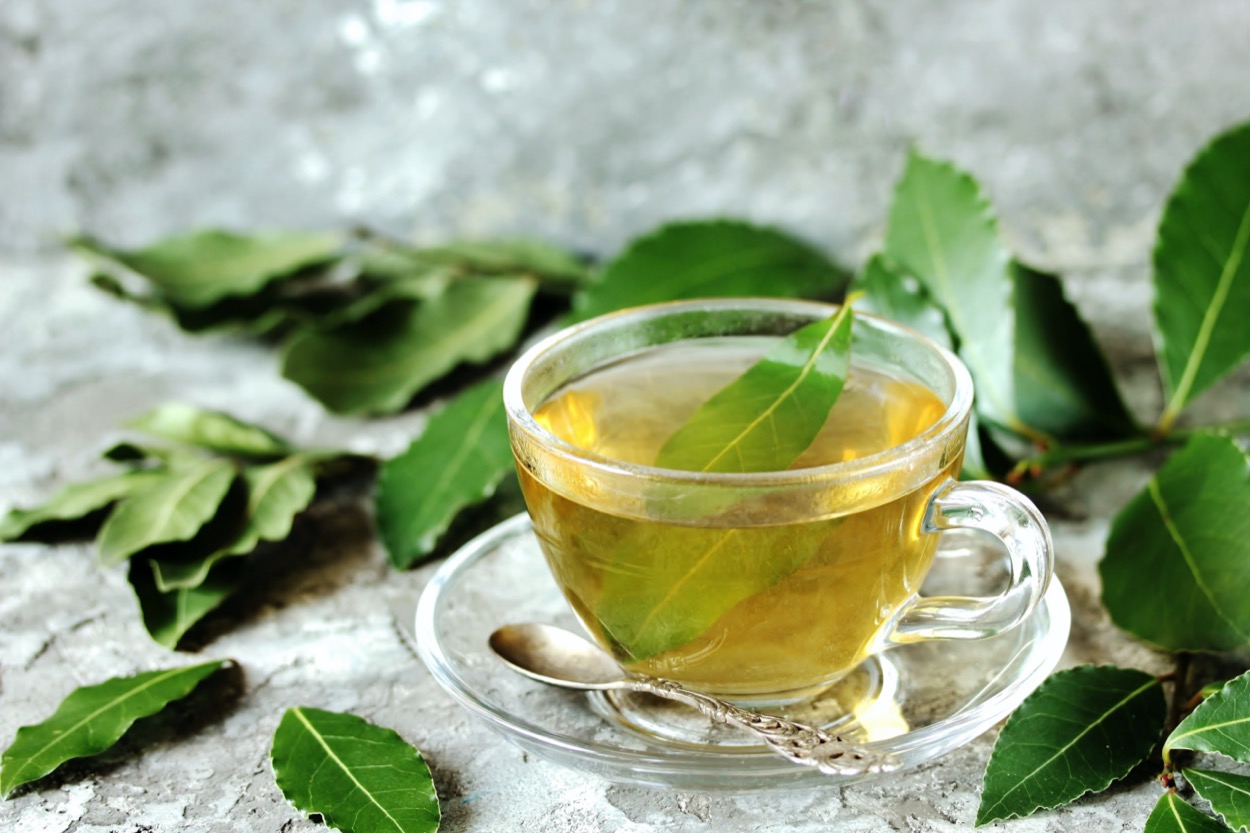 Infuso di alloro: rimedio naturale con tanti benefici per il corpo