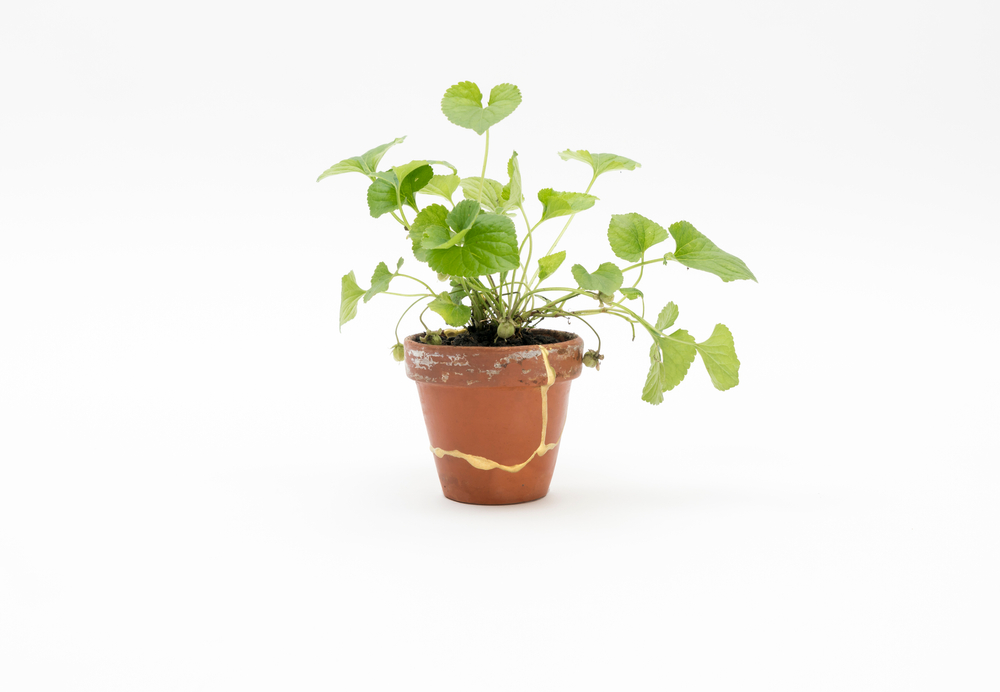 Come riparare un vaso di terracotta con il fai da te