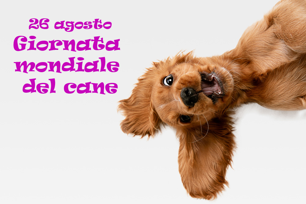 giornata-mondiale-cane-immagini-1.jpg