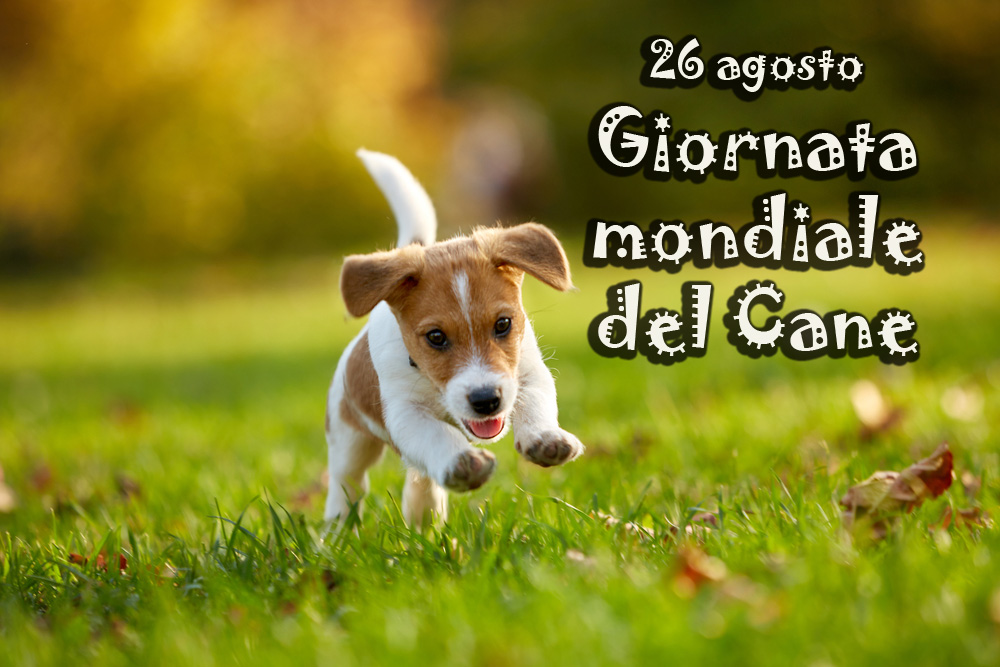 giornata-mondiale-cane-immagini-3.jpg