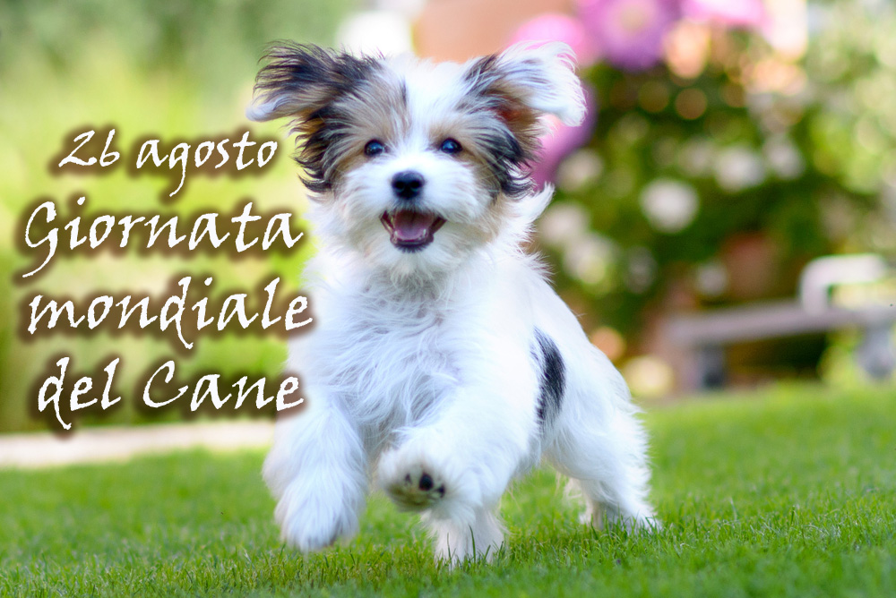 giornata-mondiale-cane-immagini-6.jpg