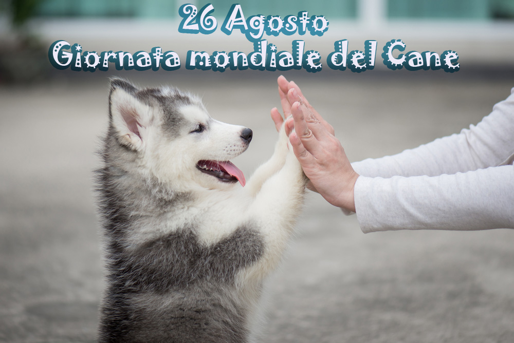 giornata-mondiale-cane-immagini-7.jpg