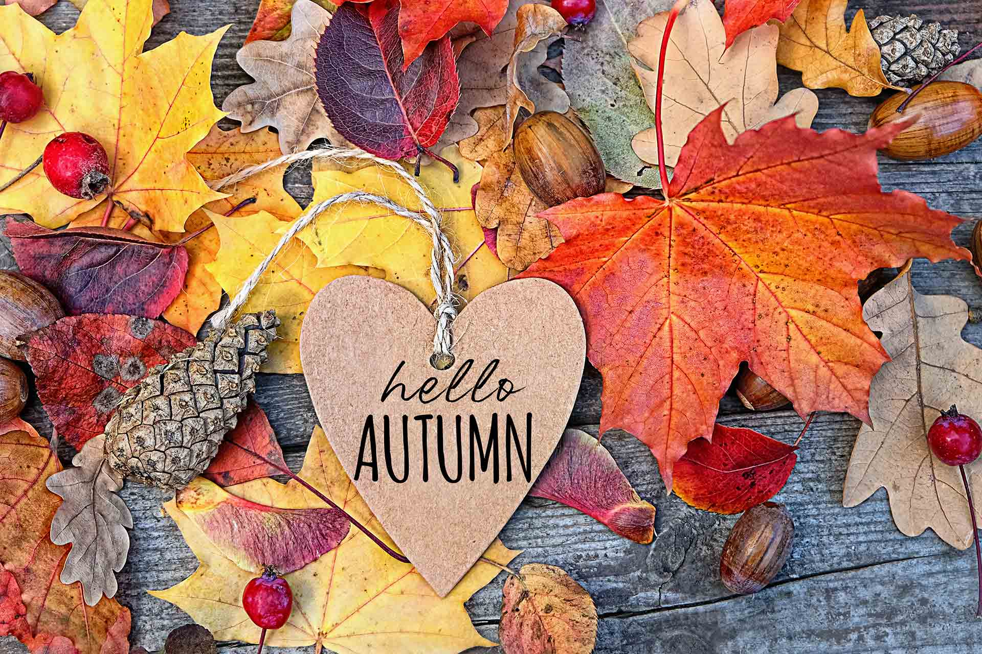 Equinozio d'autunno, le frasi per celebrare l'evento