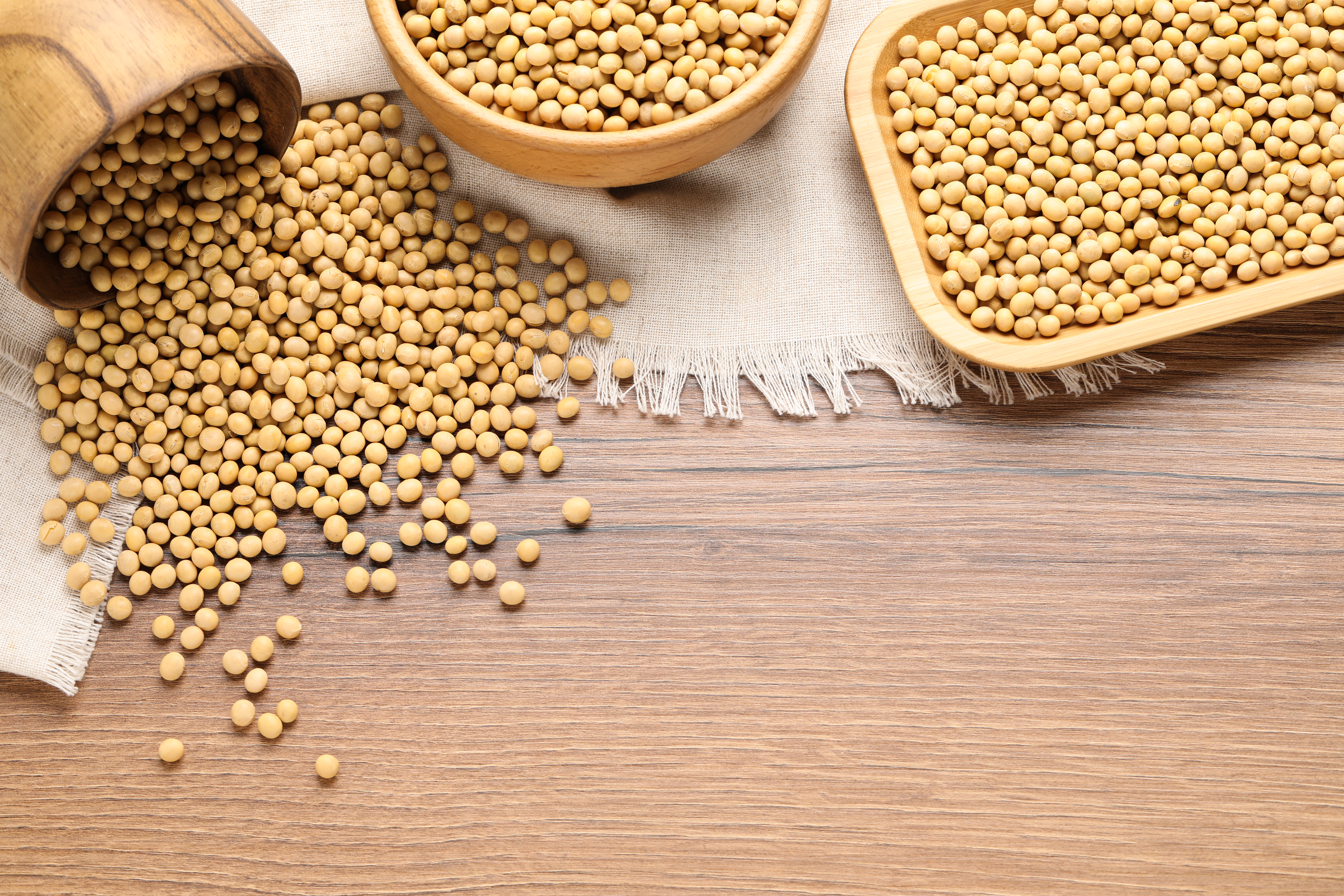 Quali sono i cibi vegetariani ricchi di proteine?