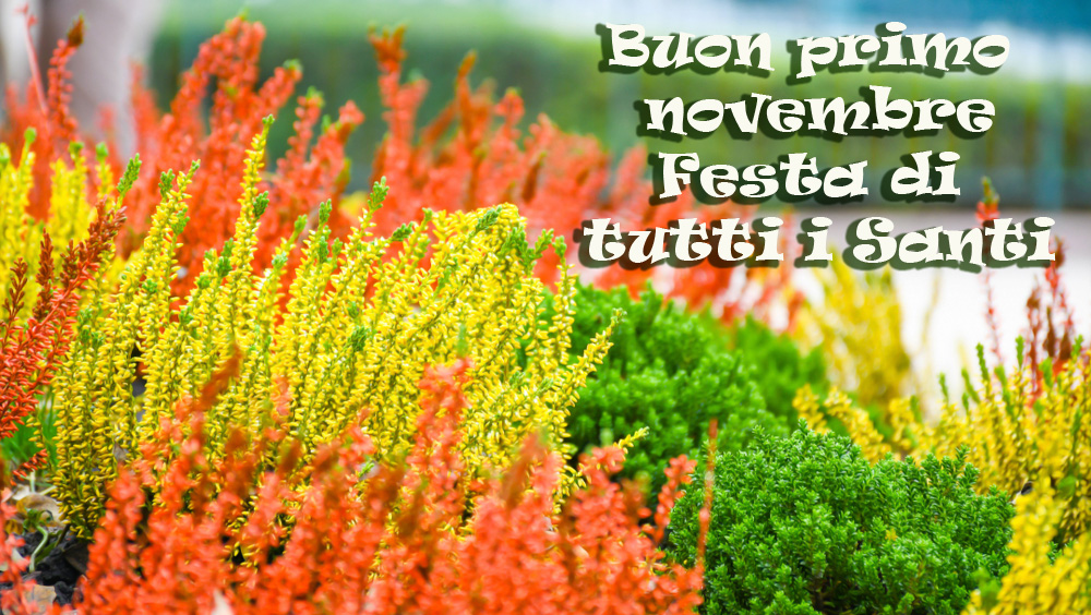 buon-primo-novembre-festa-tutti-santi-immagini-6.jpg