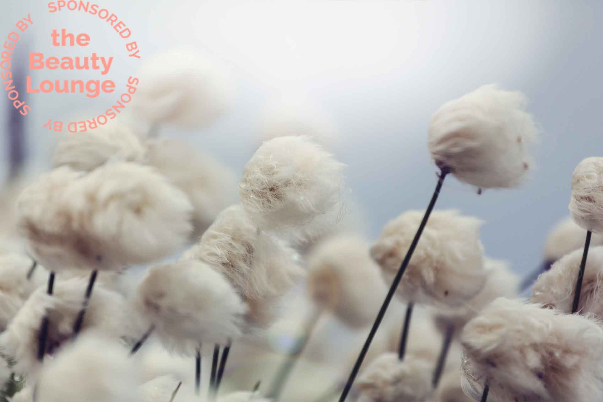 Cotone Nordico: i benefici per il corpo e per le mani