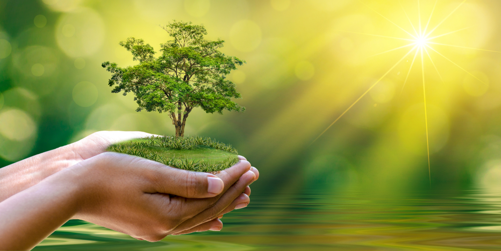 6 consigli per condurre una vita ecosostenibile