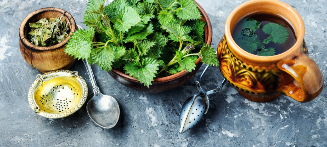 Infuso di ortica: a cosa serve questo rimedio naturale