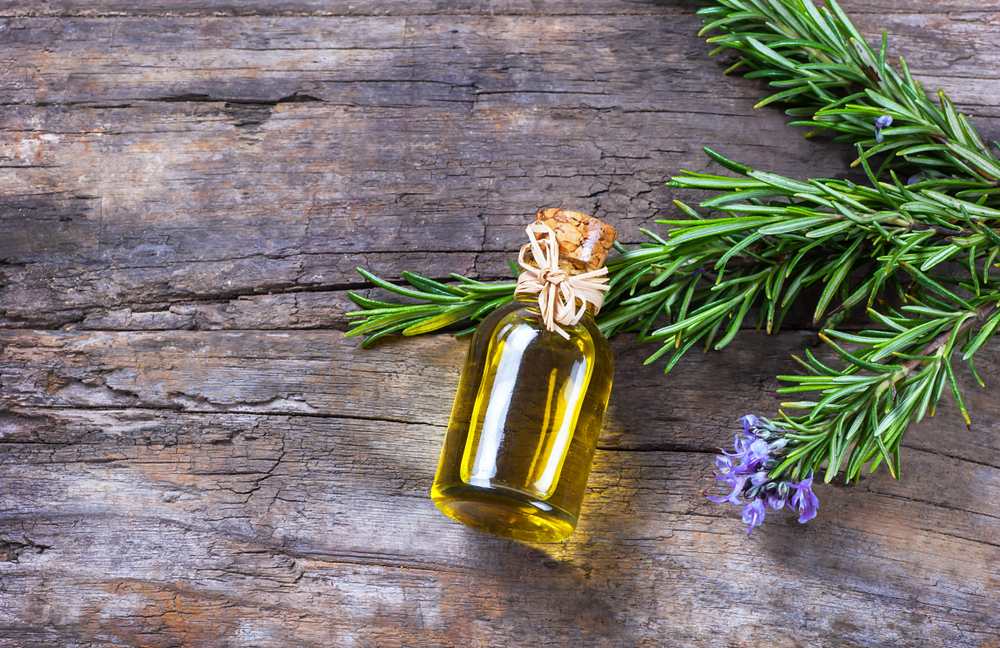 Olio di rosmarino, si può usare per far crescere i capelli?
