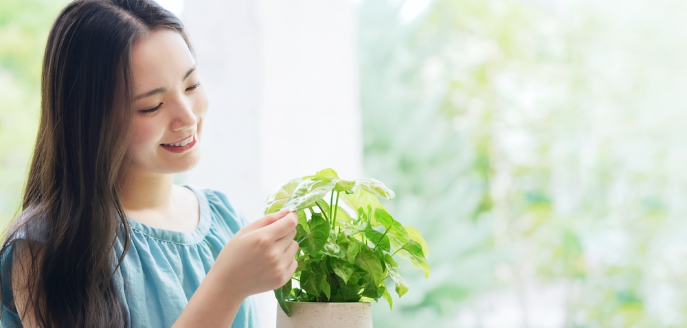 Come capire se innaffiare? 5 trucchi da provare