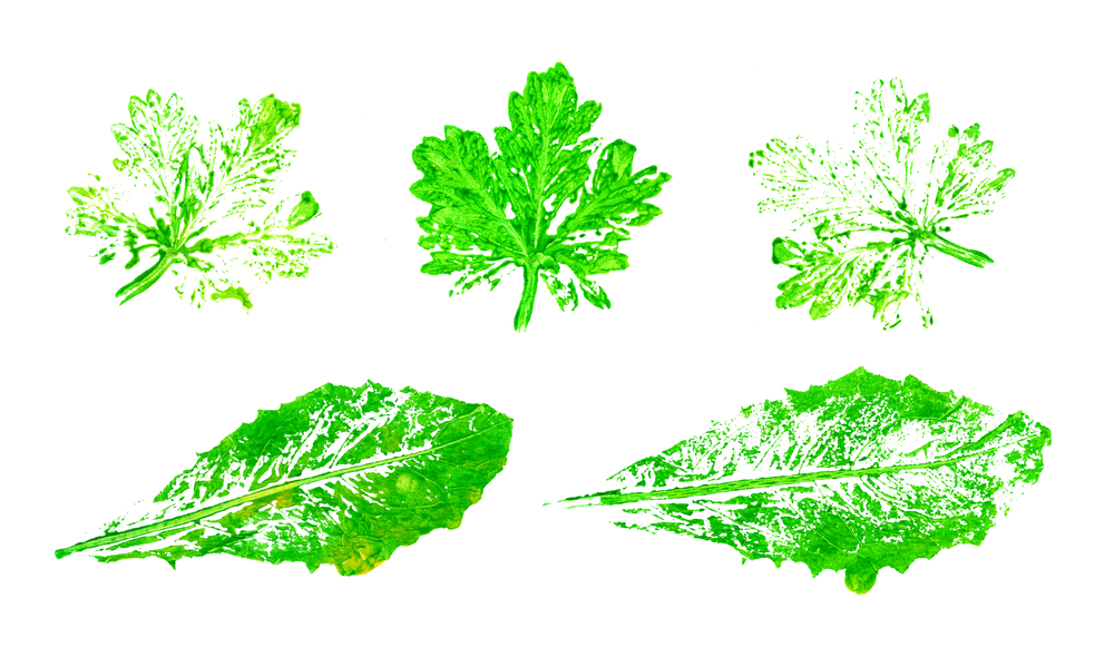 Come dipingere con le foglie: gli stampini originali