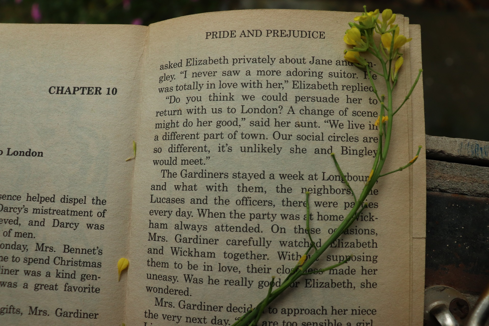 Perché Orgoglio e Pregiudizio di Jane Austen è sempre un libro attuale