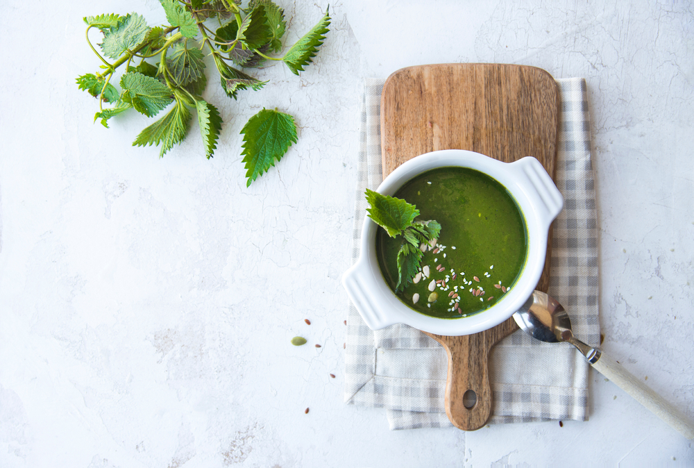 Ricetta della zuppa all'aglio selvatico e all'ortica