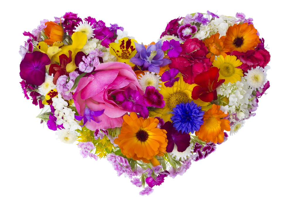 cuori-fiori-immagini-1.jpg