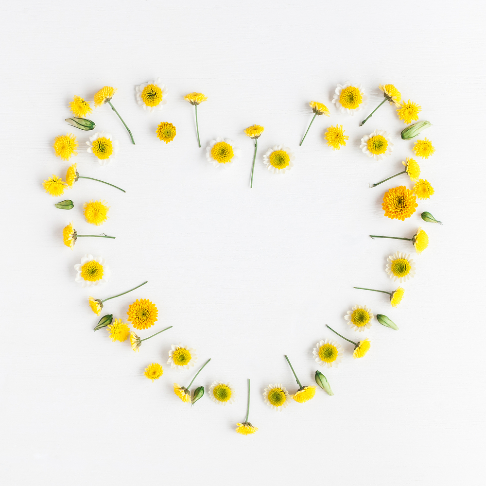 cuori-fiori-immagini-2.jpg