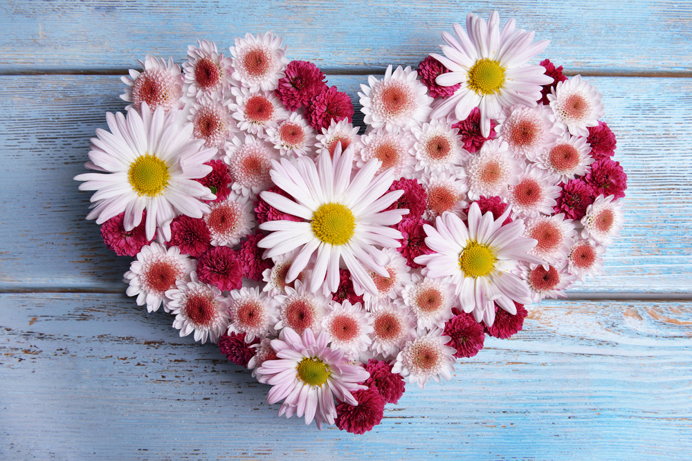 cuori-fiori-immagini-3.jpg