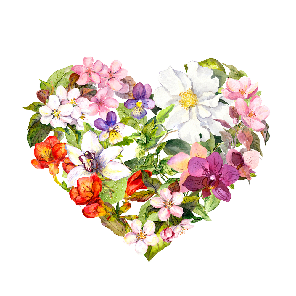 cuori-fiori-immagini-5.jpg