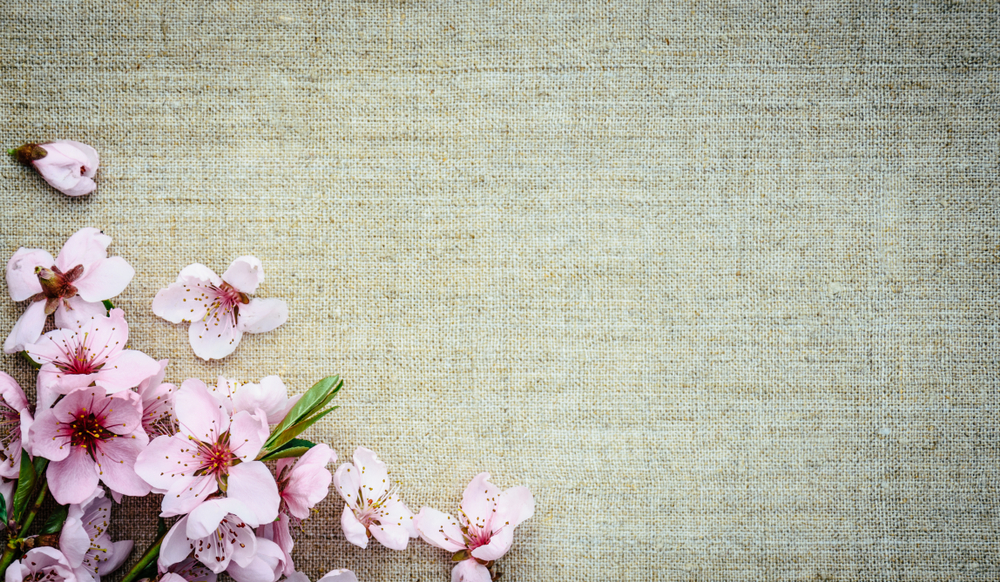 Nazim Hikmet: 5 poesie da leggere subito