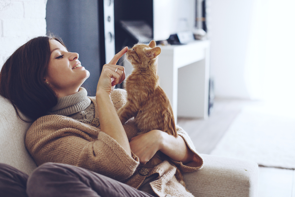Come eliminare l’odore del gatto
