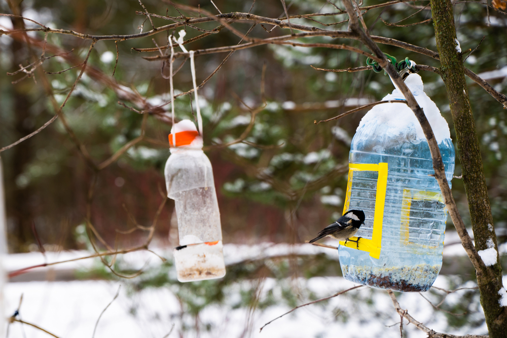 Mangiatoia per uccelli fai da te con la bottiglia di plastica: come farla