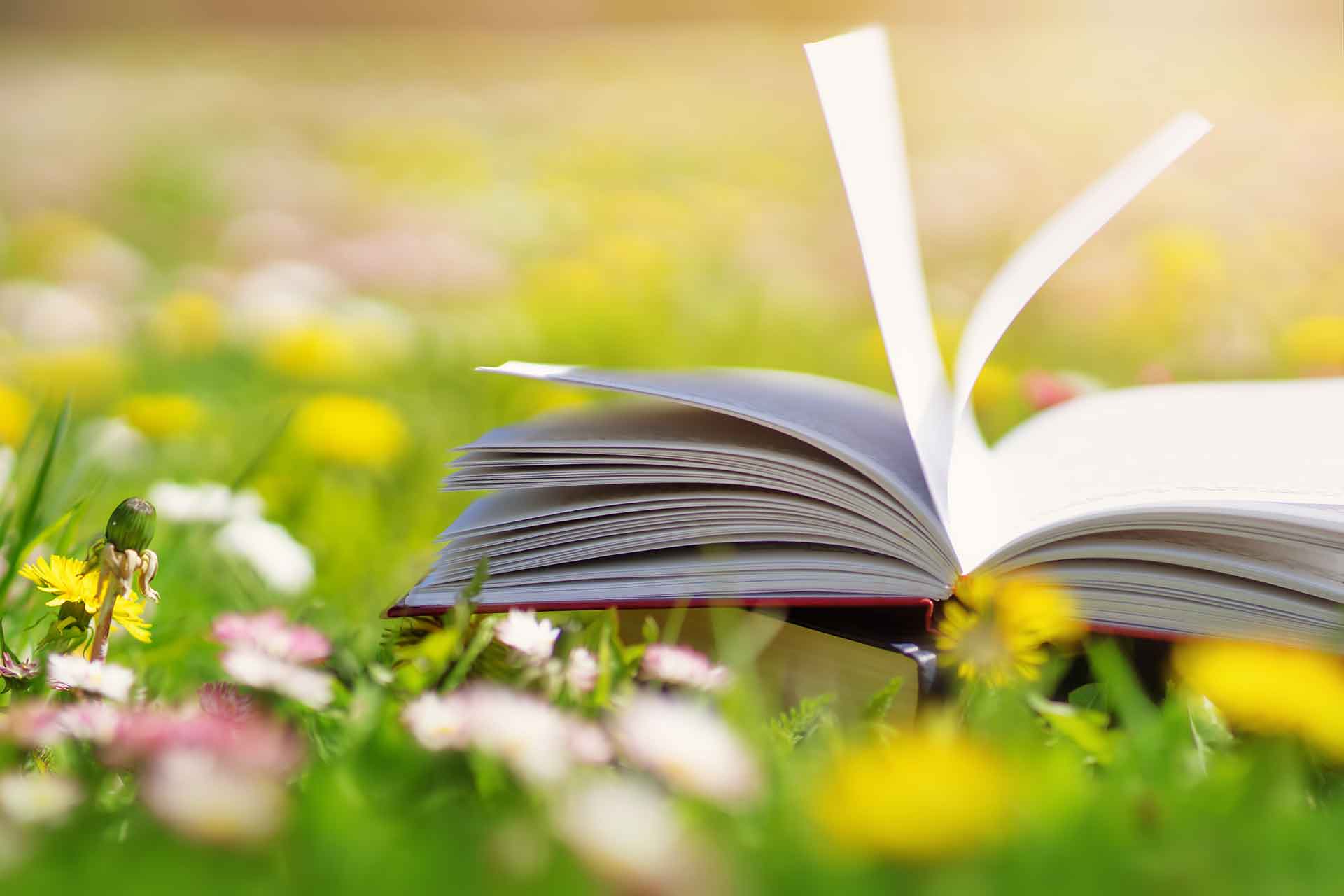 I libri sulla sostenibilità ambientale da leggere