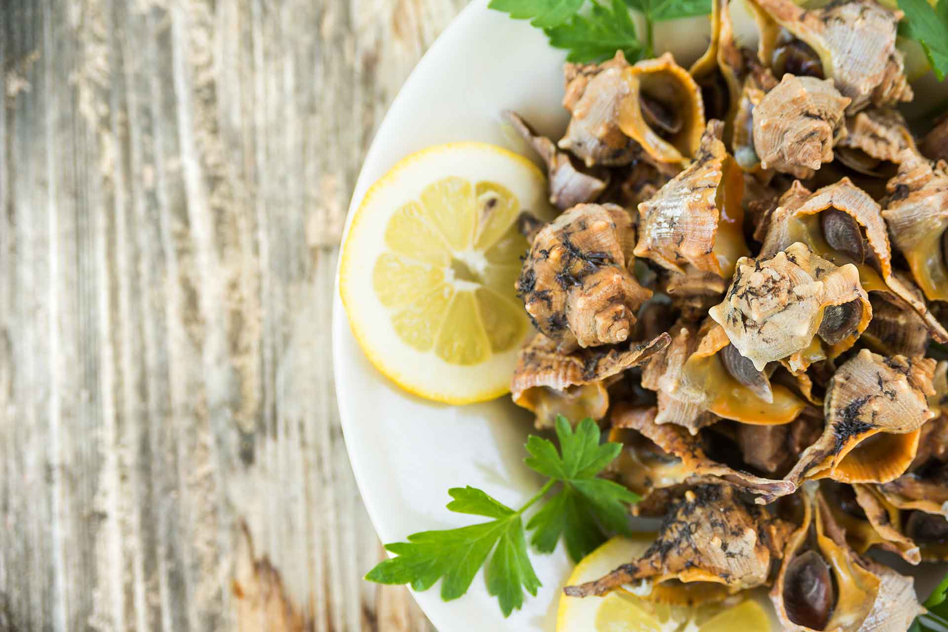 Lumachine di mare, la ricetta della tradizione da provare