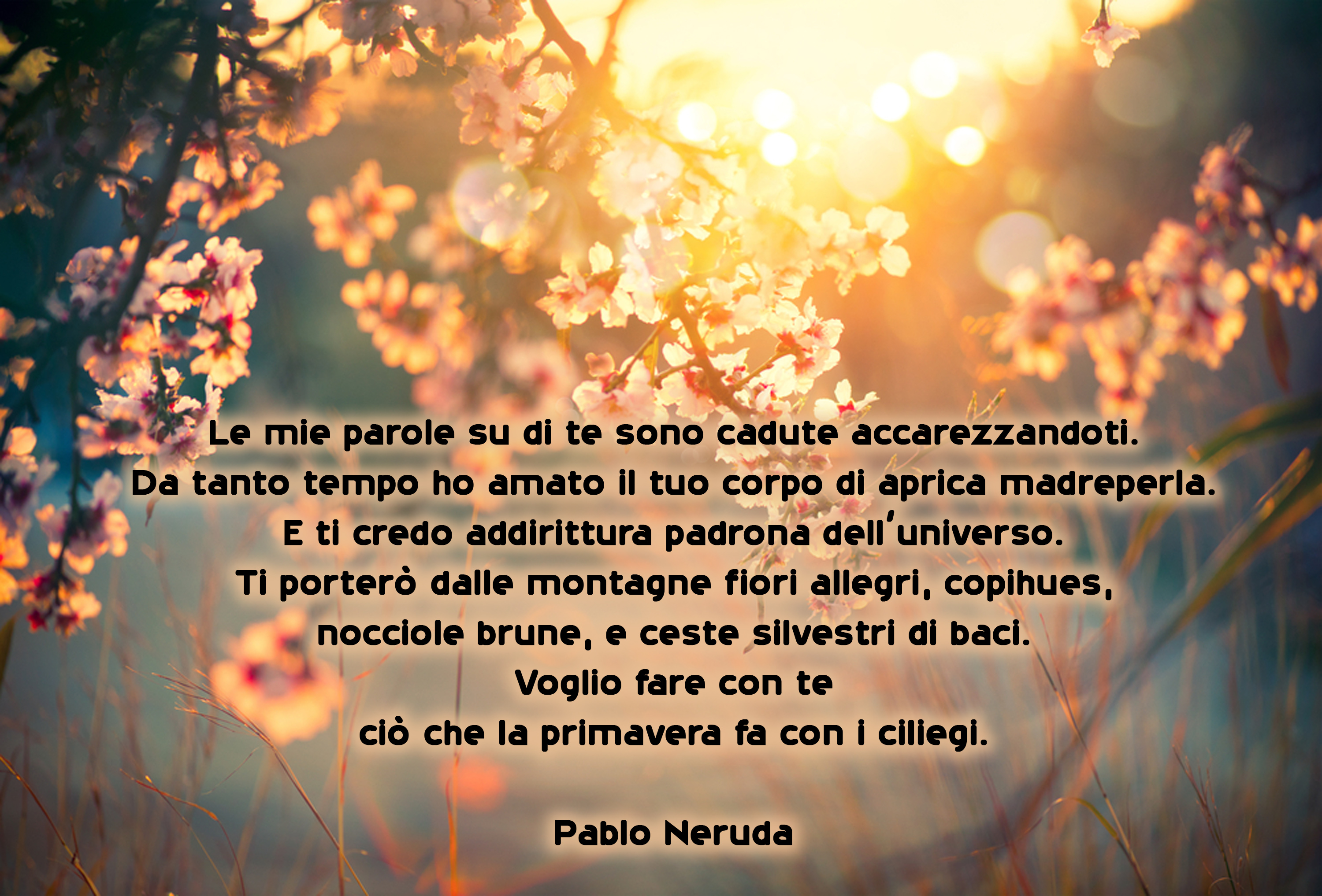 equinozio-primavera-2022-immagini-frasi-1.jpg