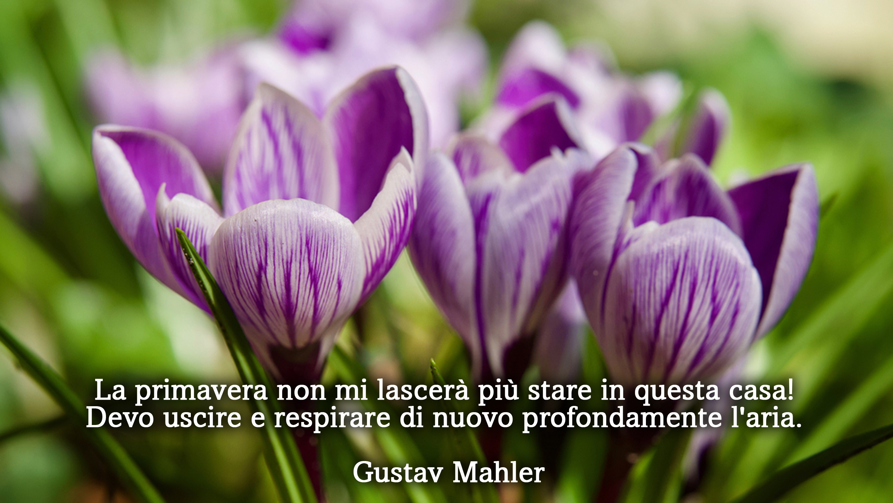 equinozio-primavera-2022-immagini-frasi-3.jpg