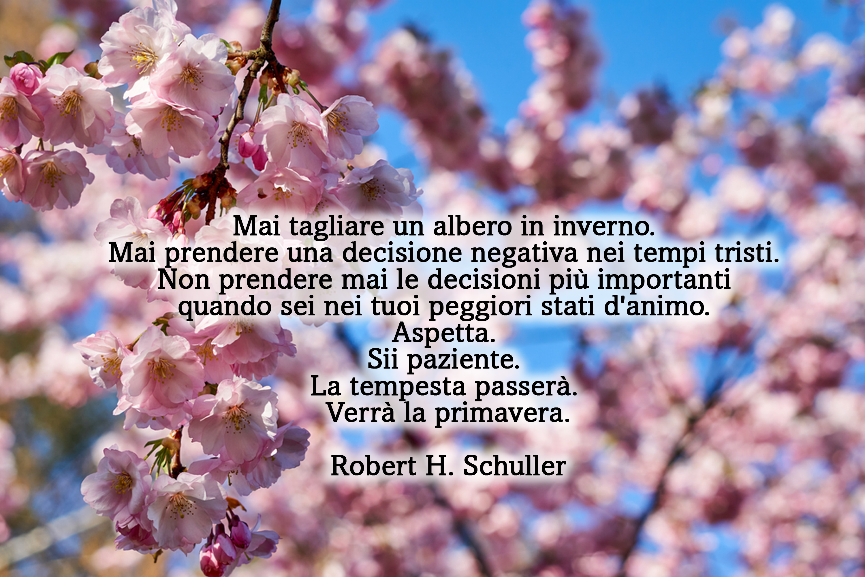 equinozio-primavera-2022-immagini-frasi-4_0.jpg