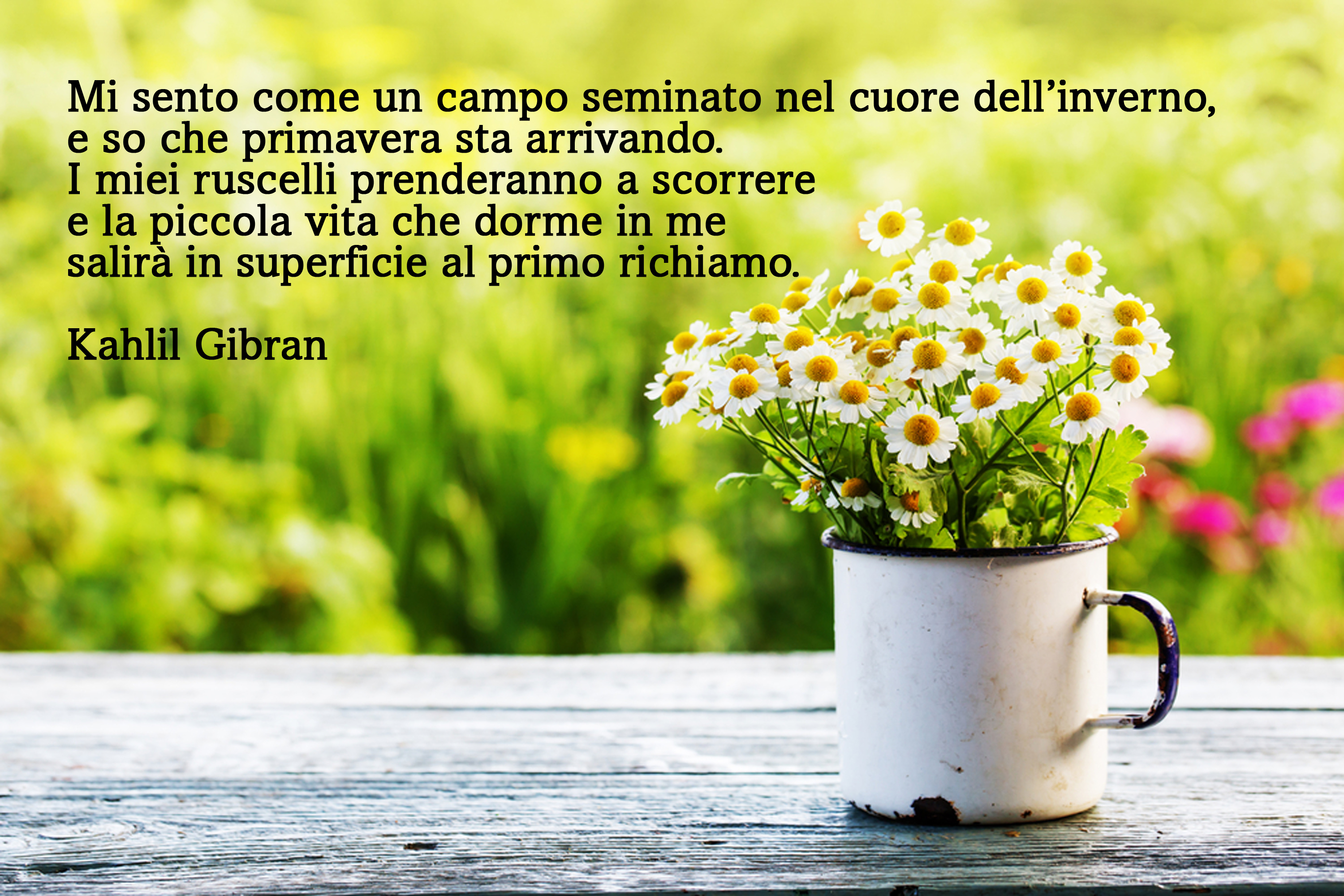 equinozio-primavera-2022-immagini-frasi-5.jpg