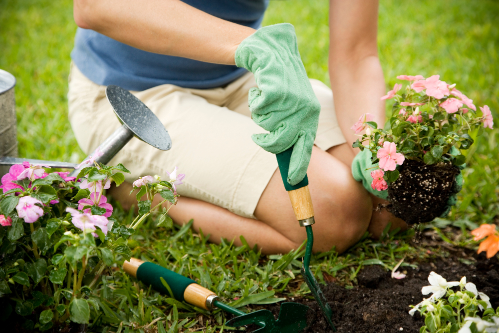 Come iniziare a fare giardinaggio: i consigli per il tuo angolo verde
