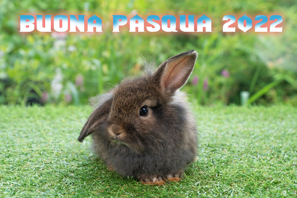 buona-pasqua-2022-immagini-3.jpg