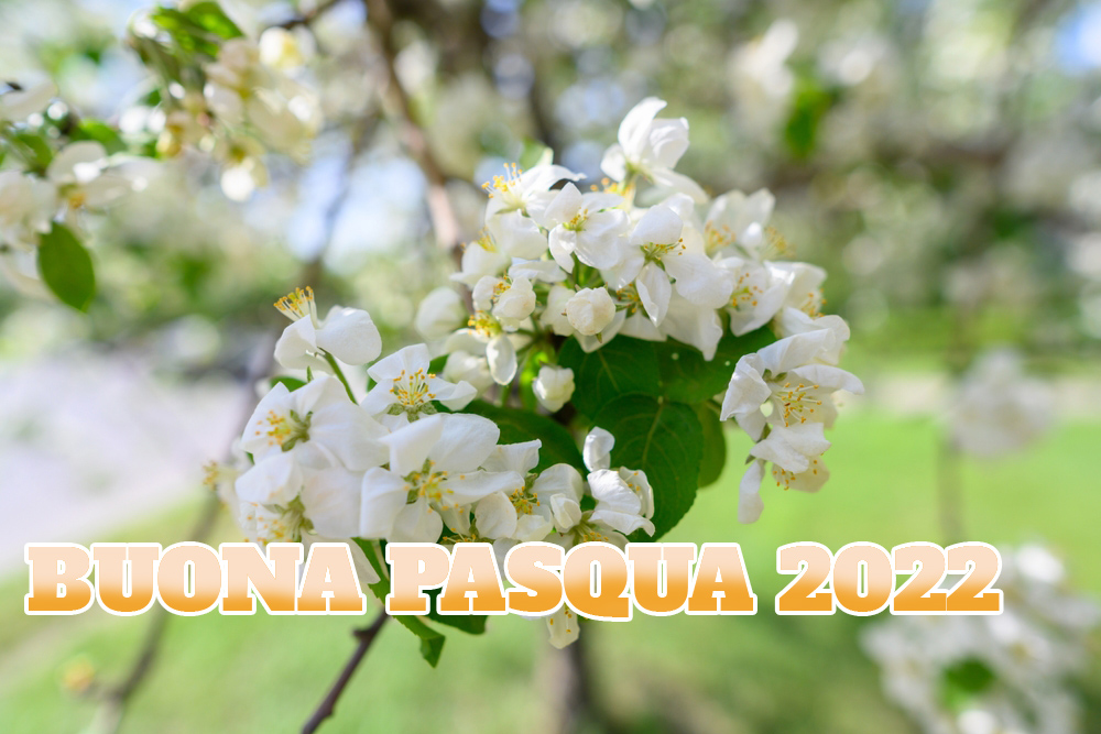 buona-pasqua-2022-immagini-7.jpg