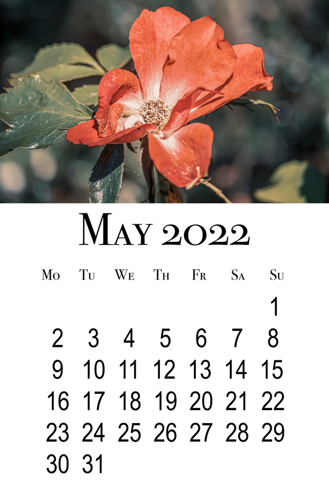 calendario-maggio-2022-da-stampare-3.jpg