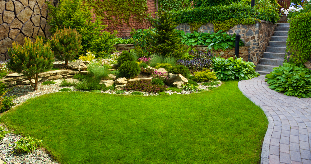 Come disporre le piante in un giardino: 3 fattori da considerare assolutamente