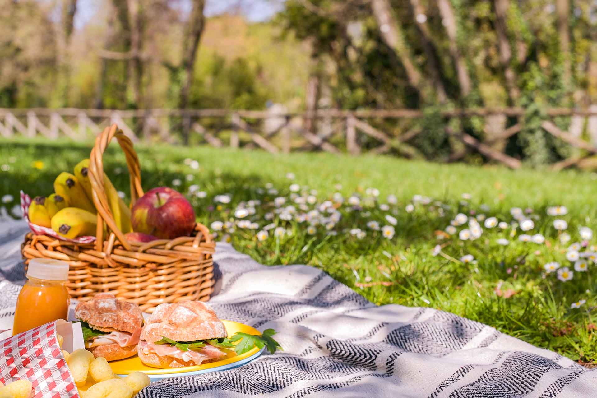 Come organizzare un pic nic con i bambini