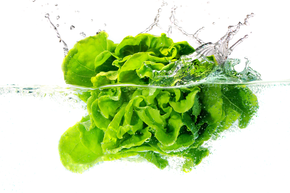 L'acqua di lattuga fa riposare meglio?