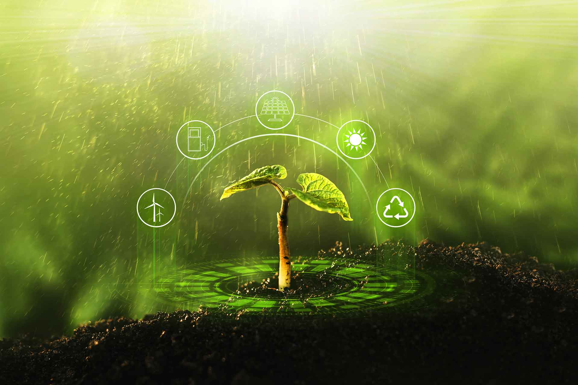 Cosa sono la sostenibilità ambientale, sociale ed economica?