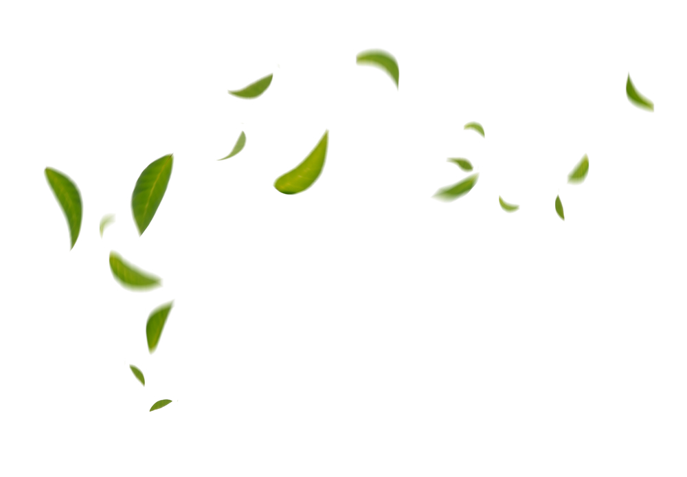 Coriandoli ecosostenibili fai da te per un matrimonio green