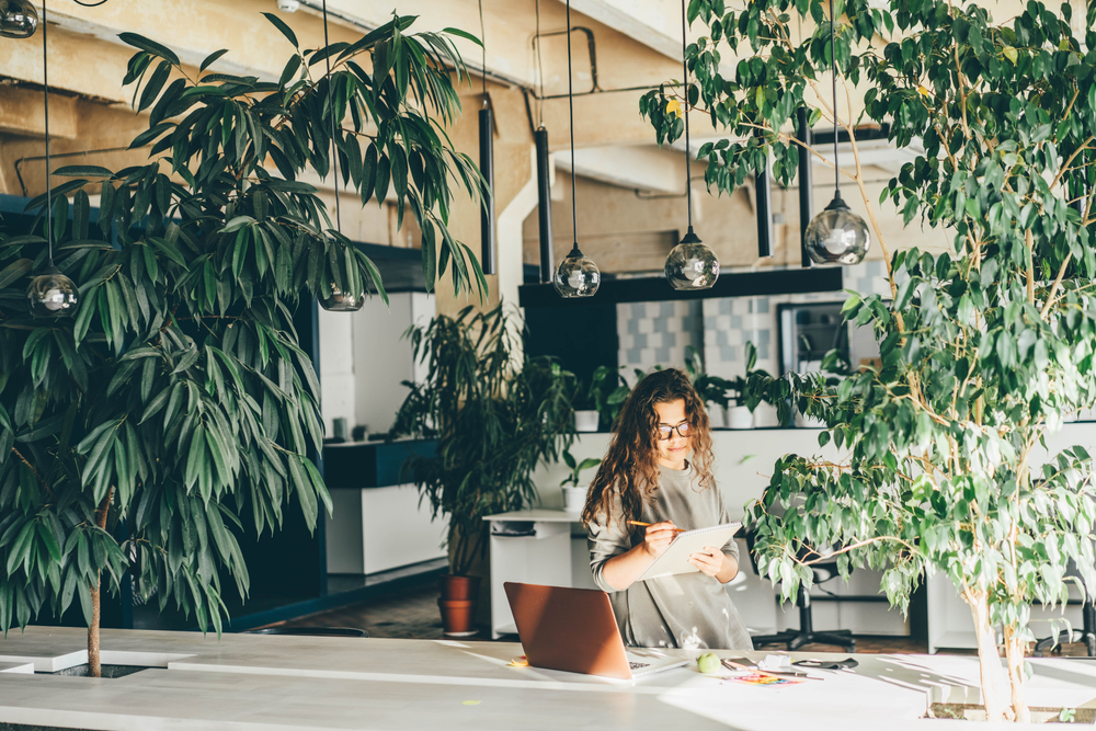 6 lavori “green” per chi è attento all’ambiente