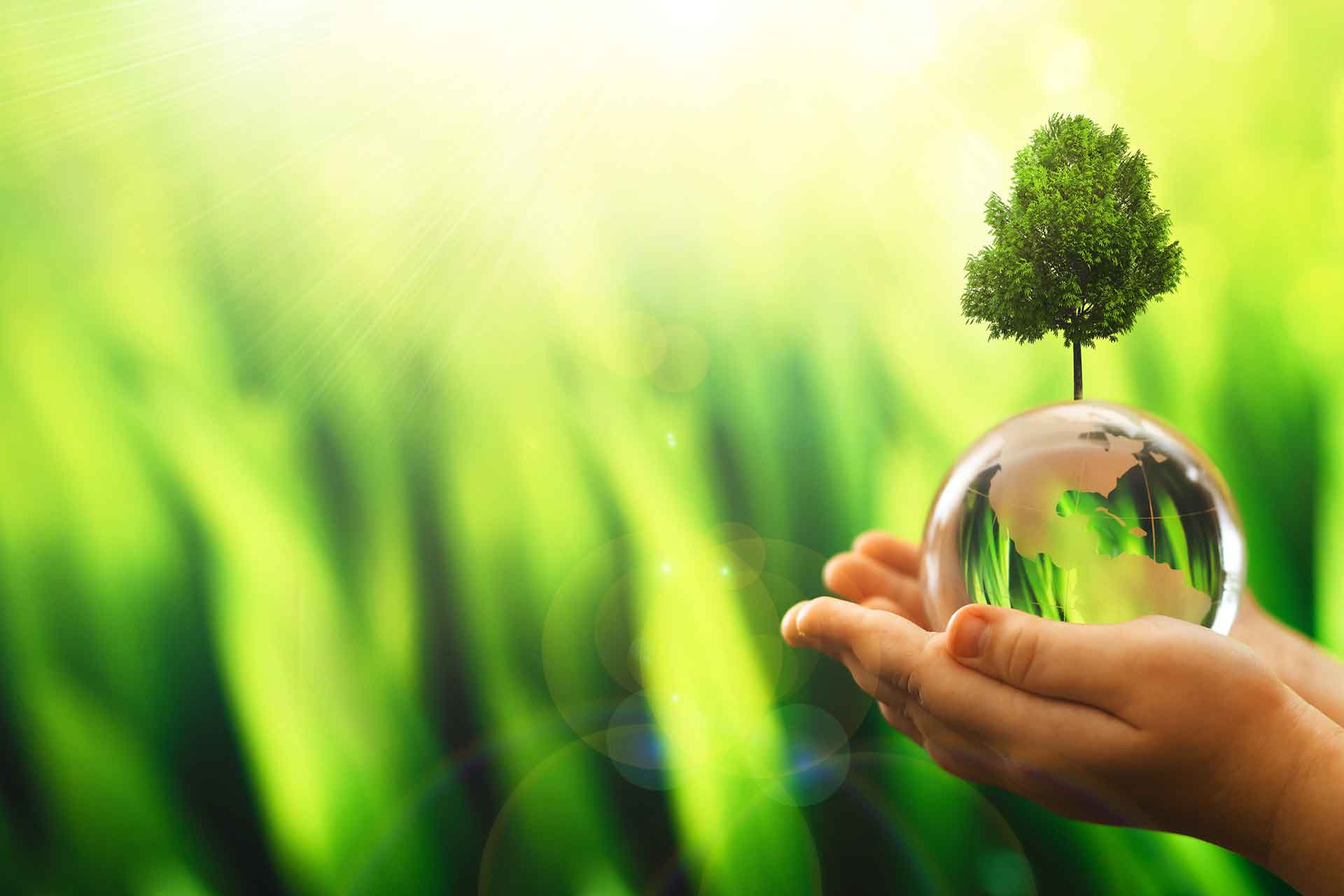 Cos'è l'ecologia e qual è il suo significato