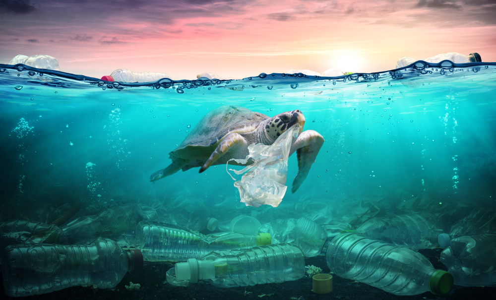 Come la plastica “avvelena” gli oceani e che cosa puoi fare