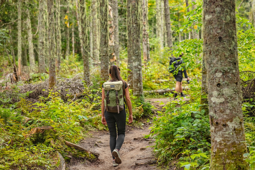 Passeggiare nella natura: la nuova terapia prescritta dai medici di base